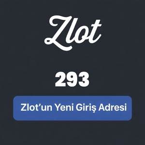 293zlot